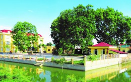 Thiệu Hóa - Thanh Hóa: Dấu ấn sau nhiệm kỳ, nhìn từ Đảng bộ xã Thiệu Duy